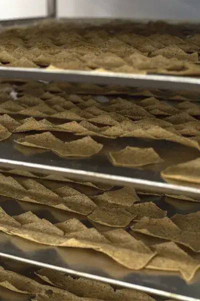 La chips de ble noir doree sortie du four